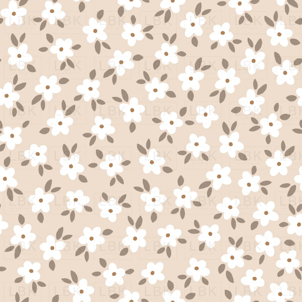 Sunshine Daisies on cream