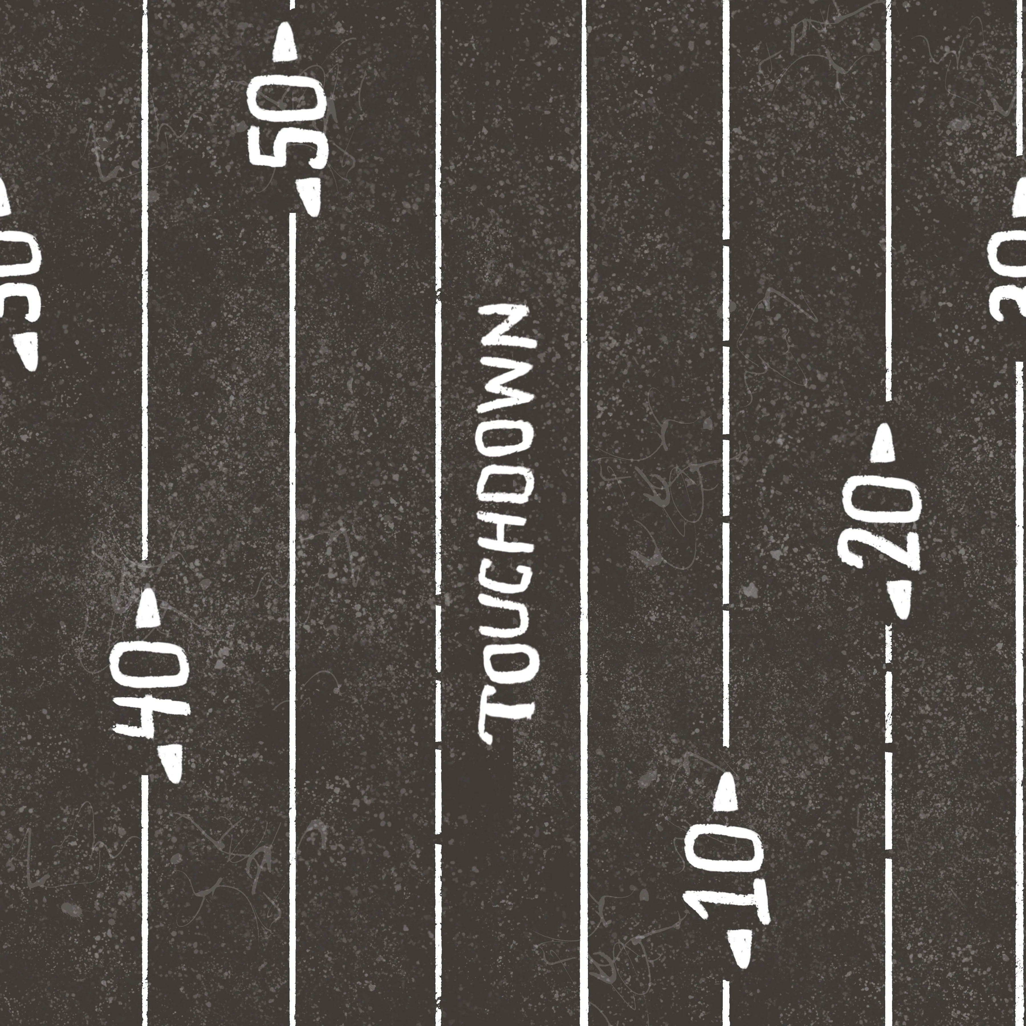 Tampa bay pewter touchdown stripe