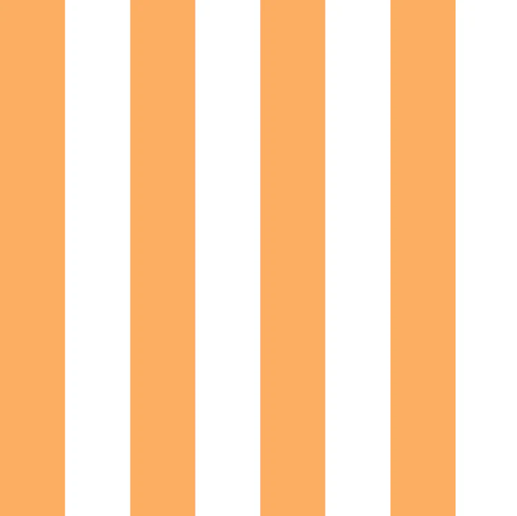 Tangerine Orange and White Stripes