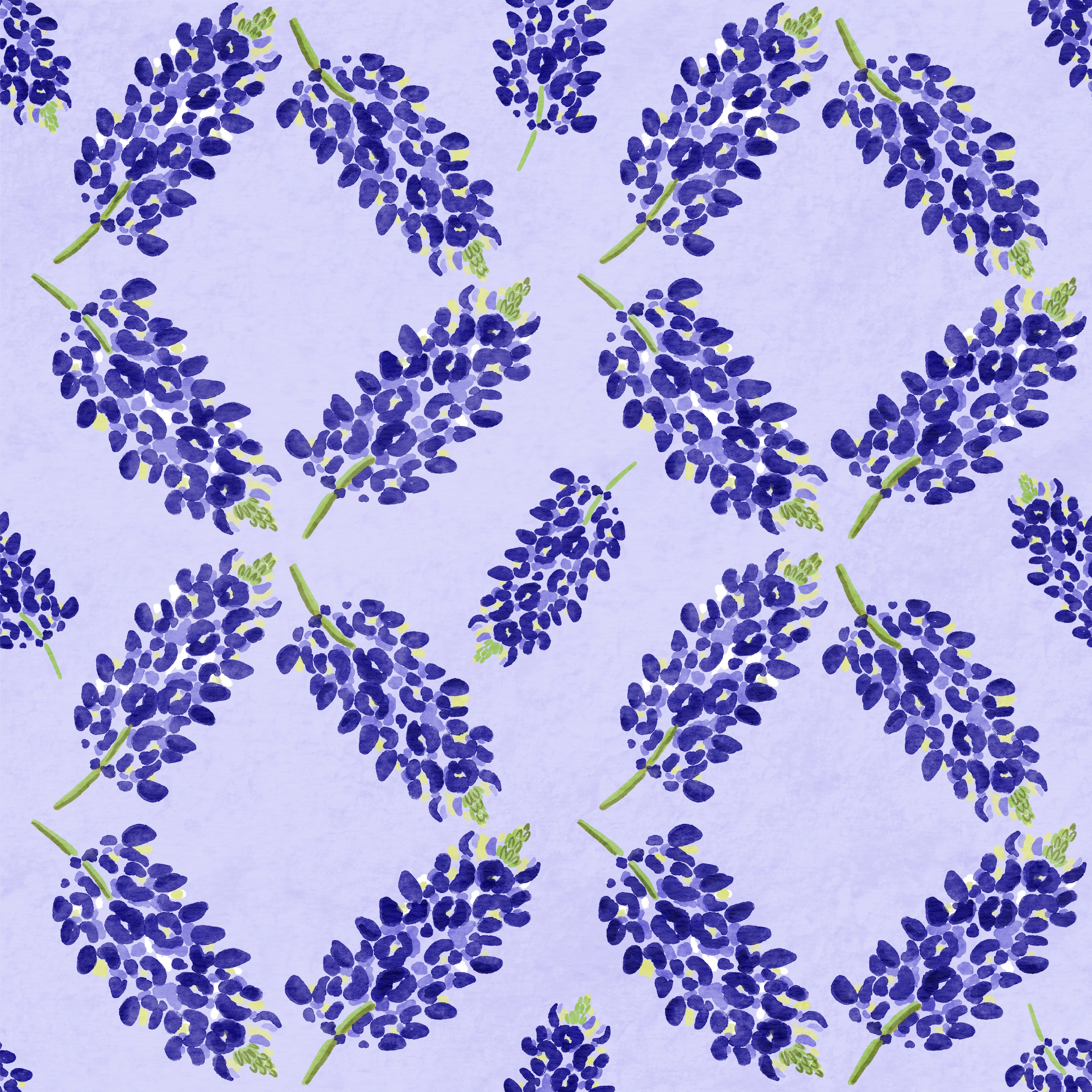 TXbluebonnetfloral