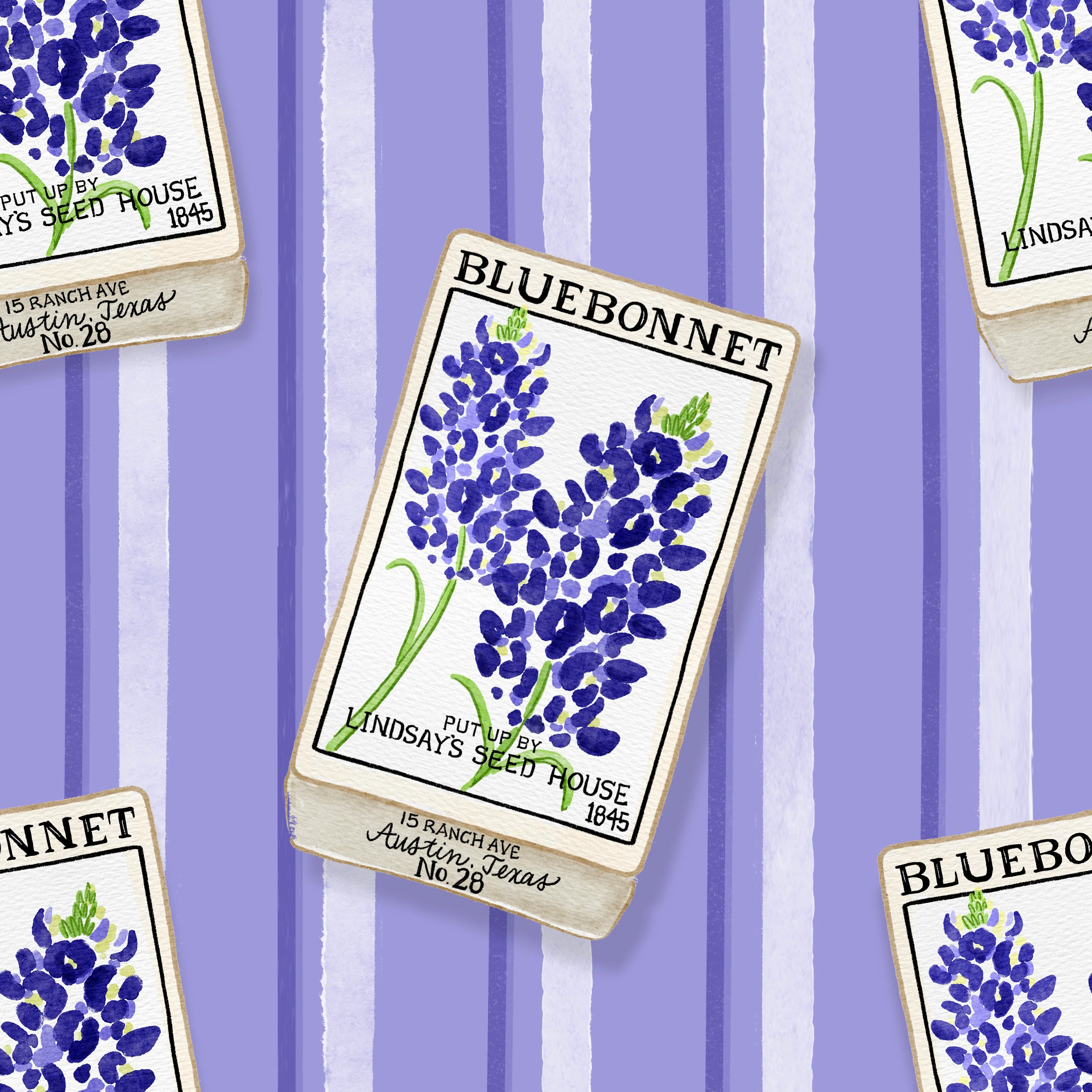 TXBluebonnetseedpacket