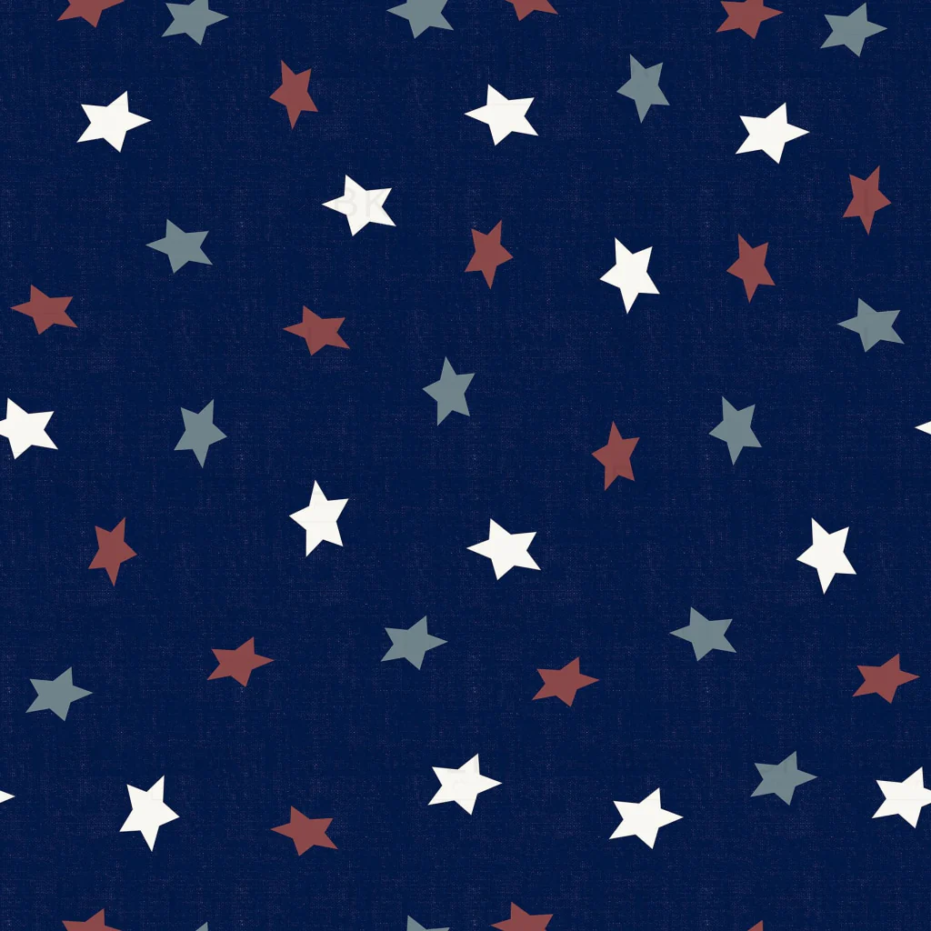 UNITED WE STAND IN DEEP BLUE