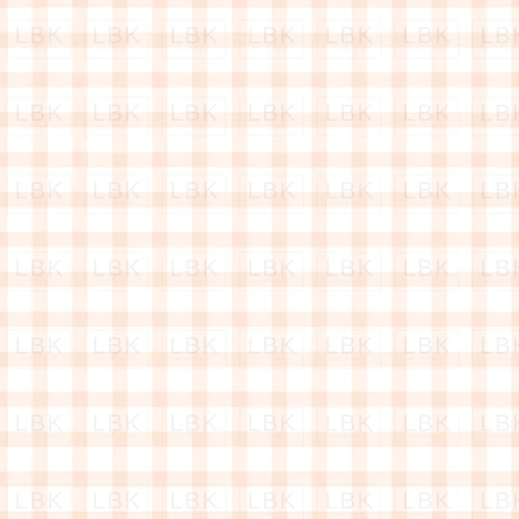 Vintage Spring Blush Pink Small Gingham