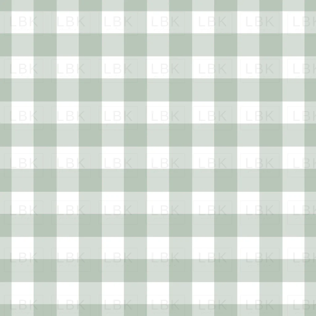 Vintage Spring Light Teal Gingham