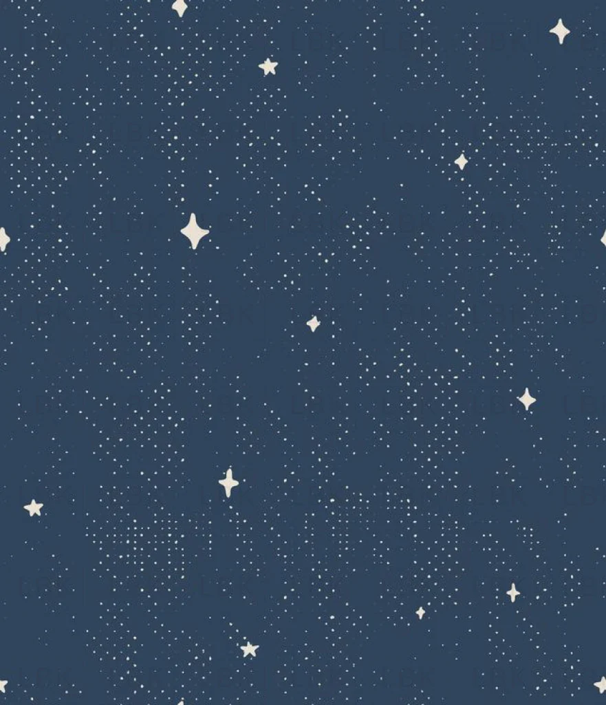 vintage star - navy blue