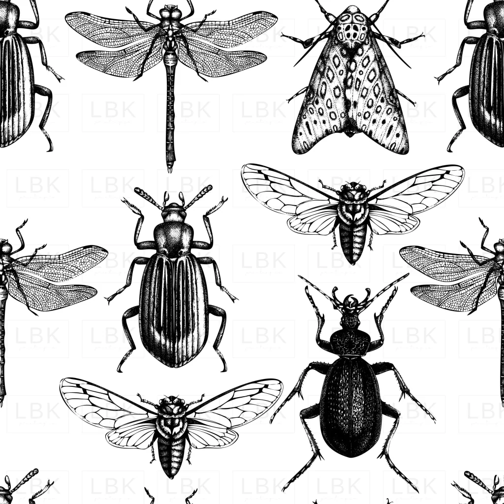 White and Black Bugs