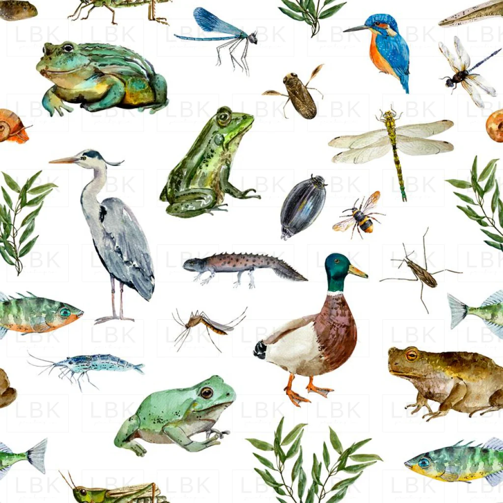 Wildlife Pond