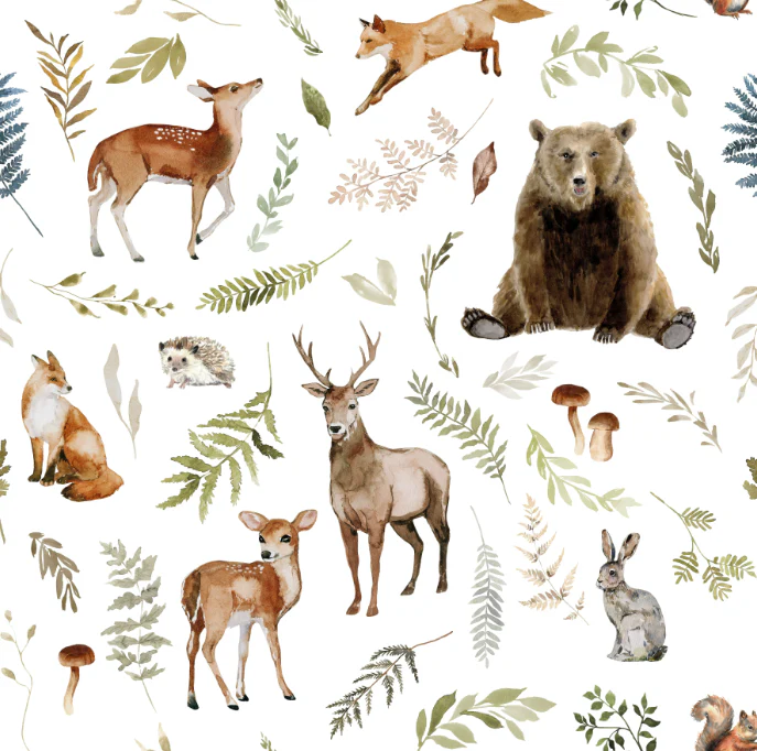 Woodland Storybook